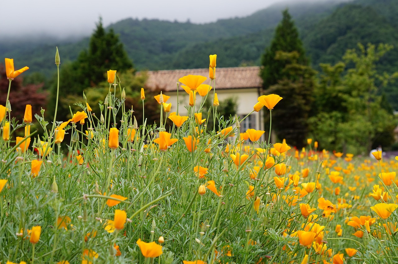 http攻击|阿里数据购买平台