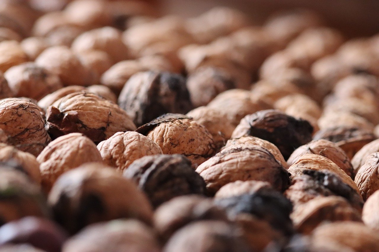 一品3美颜魔镜app详情下载教程