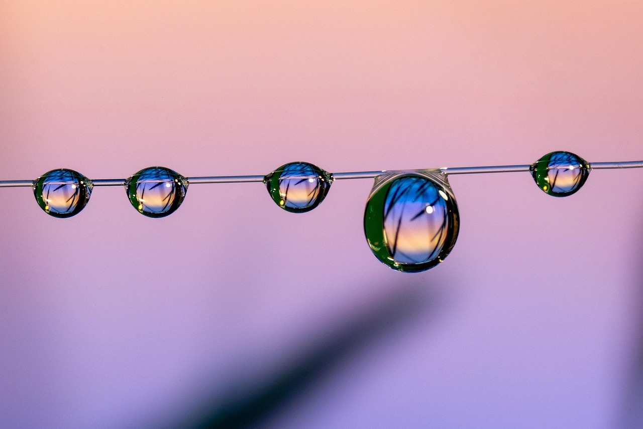 香烟的二元性质：消费者如何看待对身体的消极影响